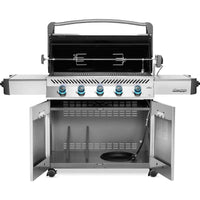 Napoleon Gas Grills P665NSS