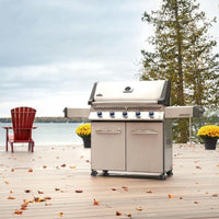 Napoleon Gas Grills P665NSS